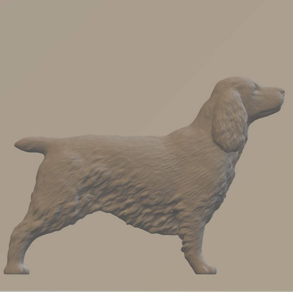 Model of an English Cocker Spaniel 20mm high  made by 3Dclever Scale 1:43