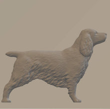 Model of an English Cocker Spaniel 20mm high  made by 3Dclever Scale 1:43