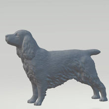 Model of an English Cocker Spaniel 20mm high  made by 3Dclever Scale 1:43