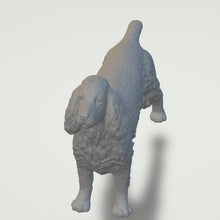 Model of an English Cocker Spaniel 20mm high  made by 3Dclever Scale 1:43