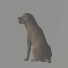 Model of a Labrador Retriever 25mm high  made by 3dclever Scale 1:43